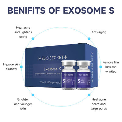 Korea pdrn face lift Exosome derma roller microneedling home use